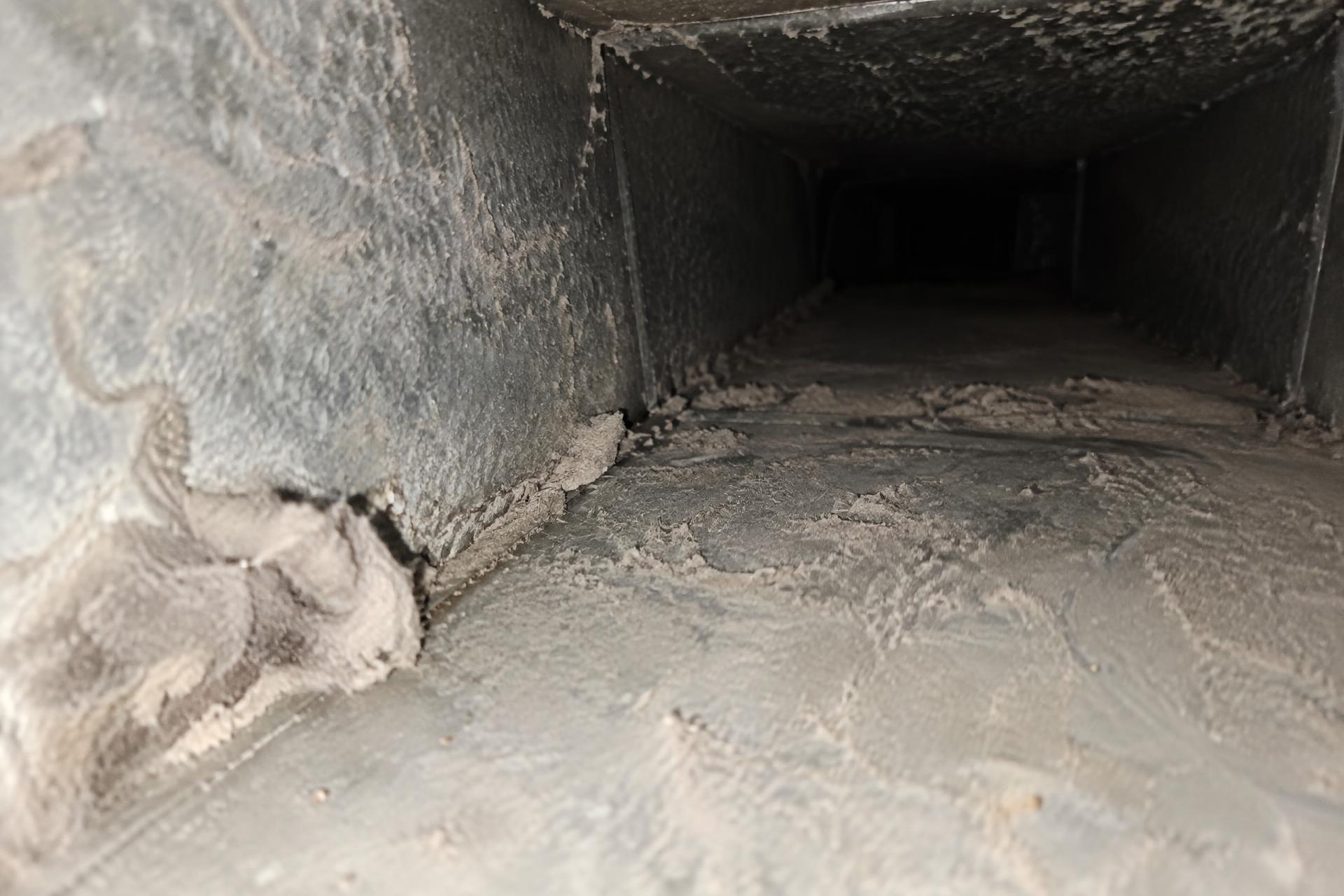 Thick dust and lint built up inside a home air duct